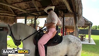 Rachel Starr Gives An Intense Ride To A Penis And A Horse In This Video